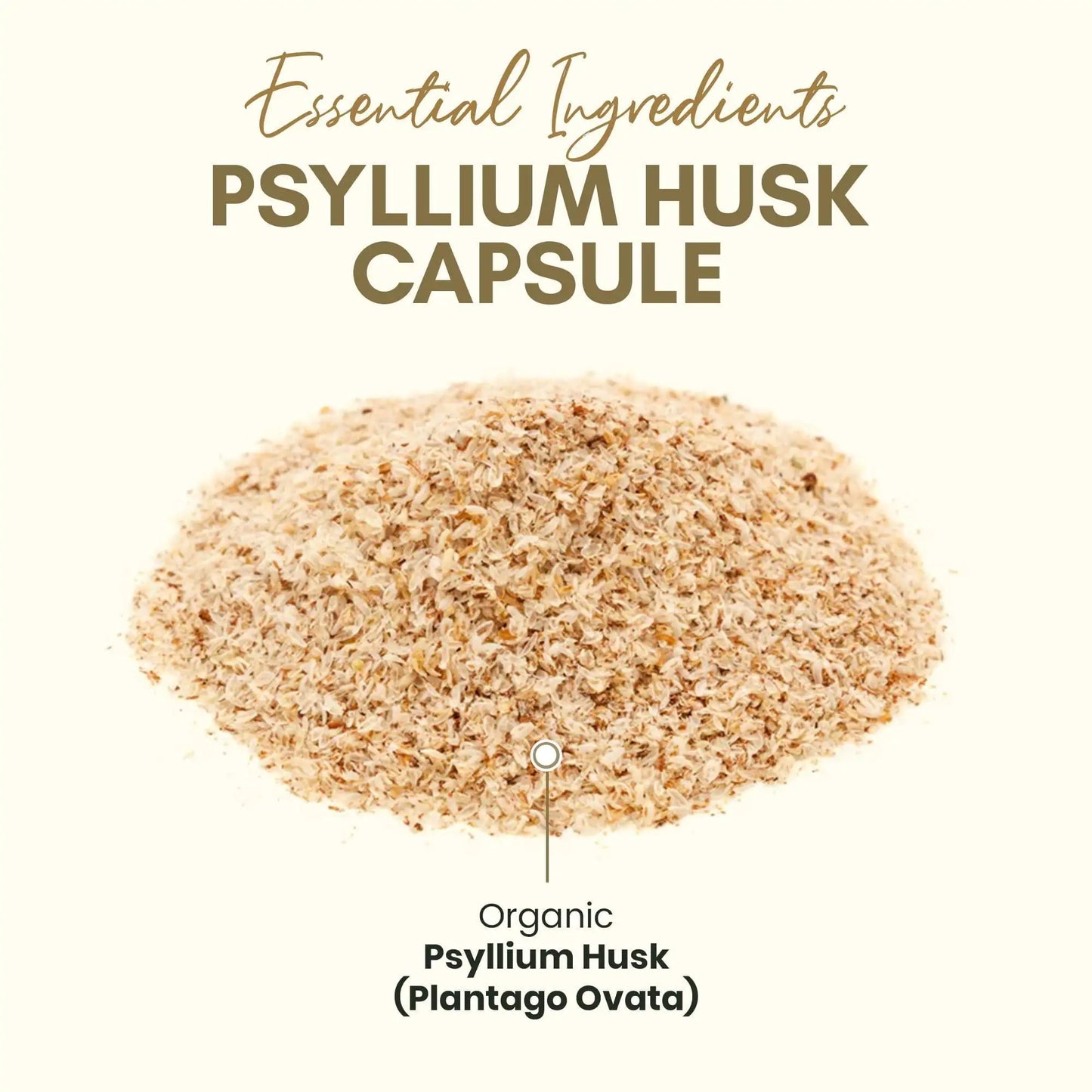 Vegan Husk Capsules All Natural Fiber Supplement