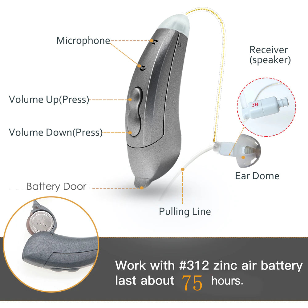 Hearing Aids Bluetooth Capability